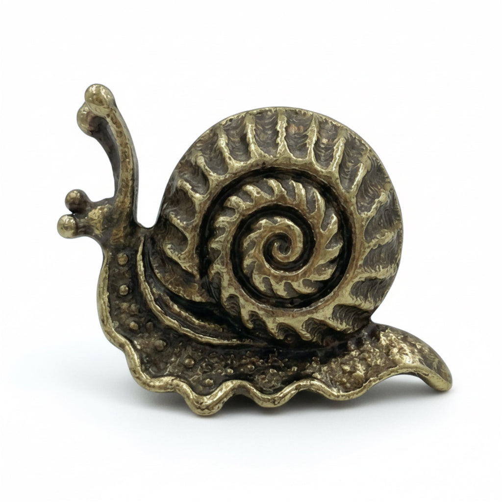 Antique Brass Snail Drawer Knobs