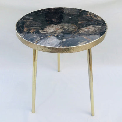 Black Petrified Wood Agate Round Edge Side/Coffee Table