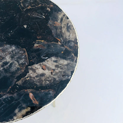 Black Petrified Wood Agate Round Edge Side/Coffee Table