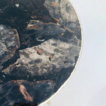 Black Petrified Wood Agate Round Edge Side/Coffee Table