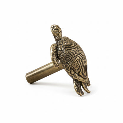 Antique Brass Turtle Drawer Knobs