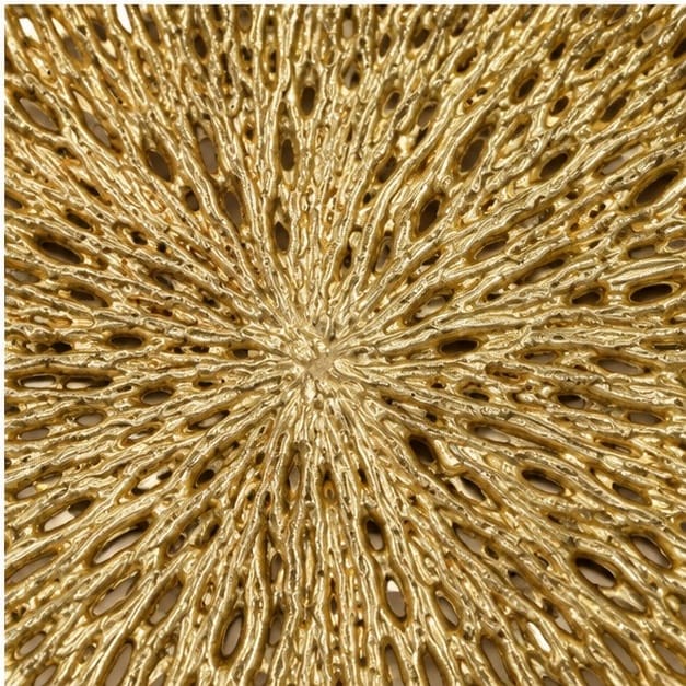 Close view of the radiating coral texture of the tray