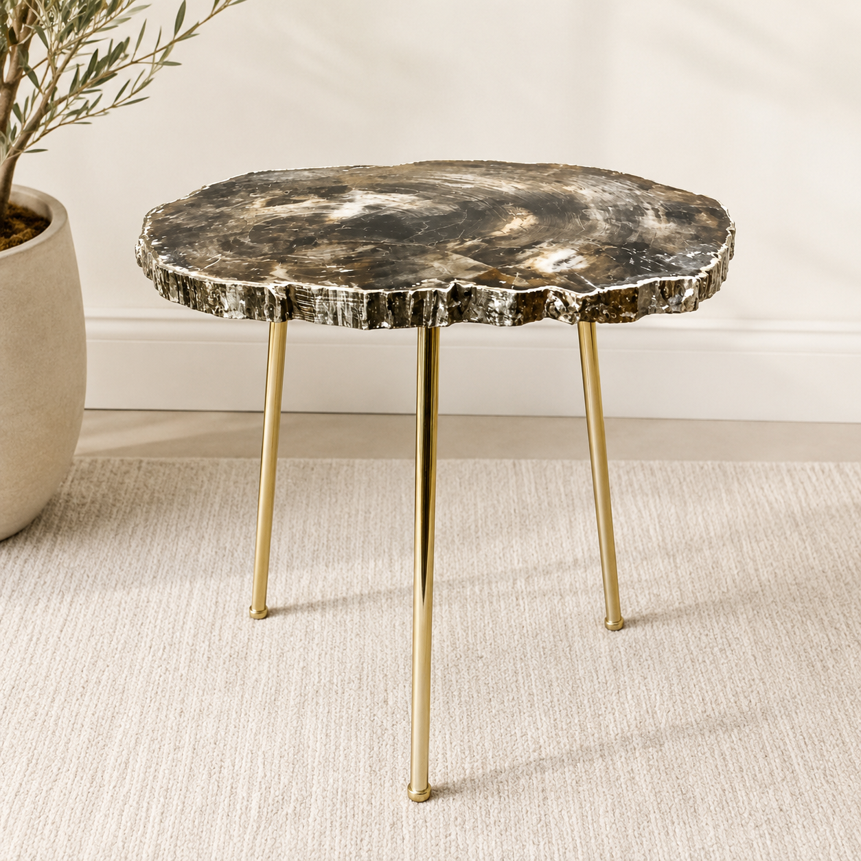 Petrified Wood Organic Edge Side Table