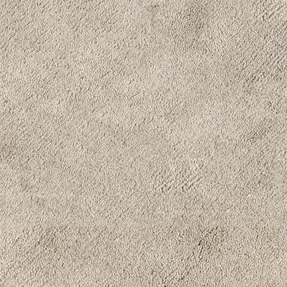 Beige Hand-Tufted Pure Wool Rug - High Density